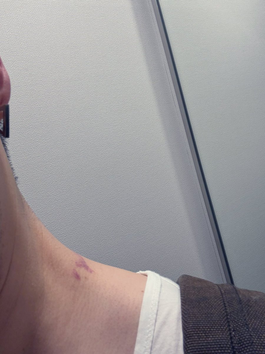 ペンギンおじさん（NEW） tweet media