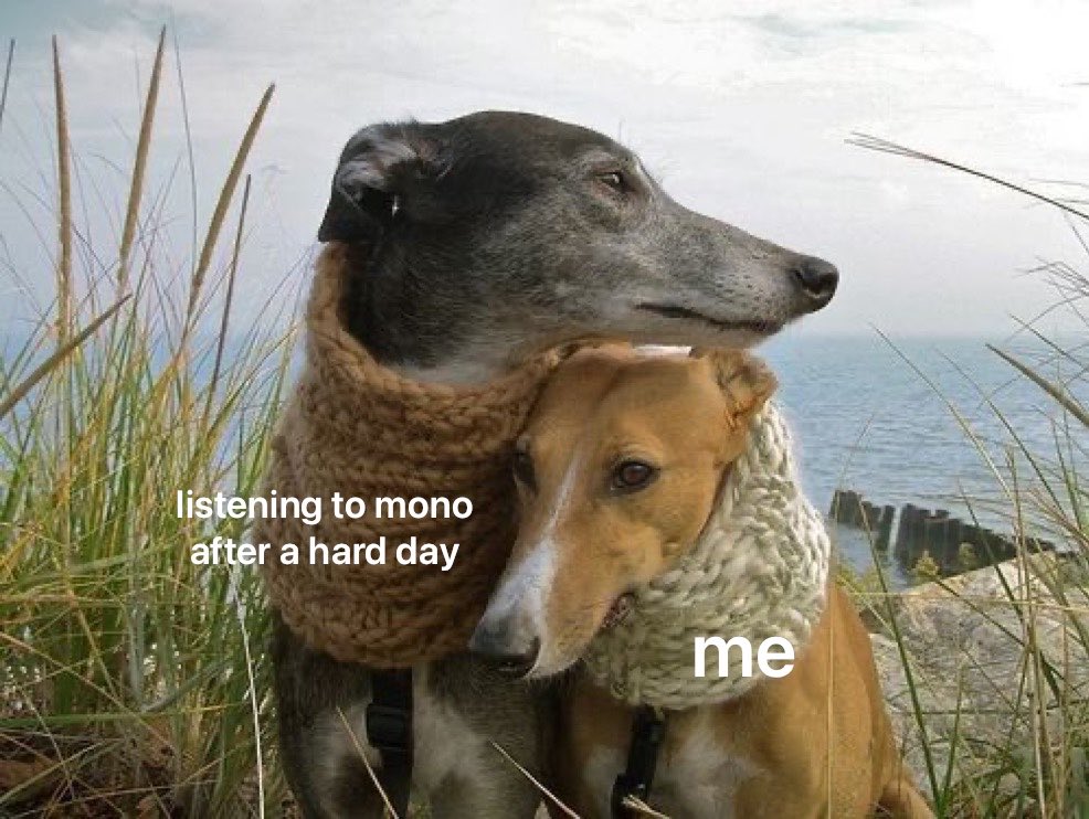 mina⁷ 🍀 (@namu_bear) on Twitter photo 