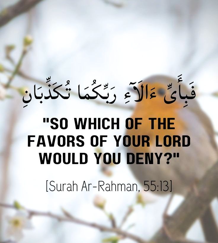 Daily Reminders. tweet media