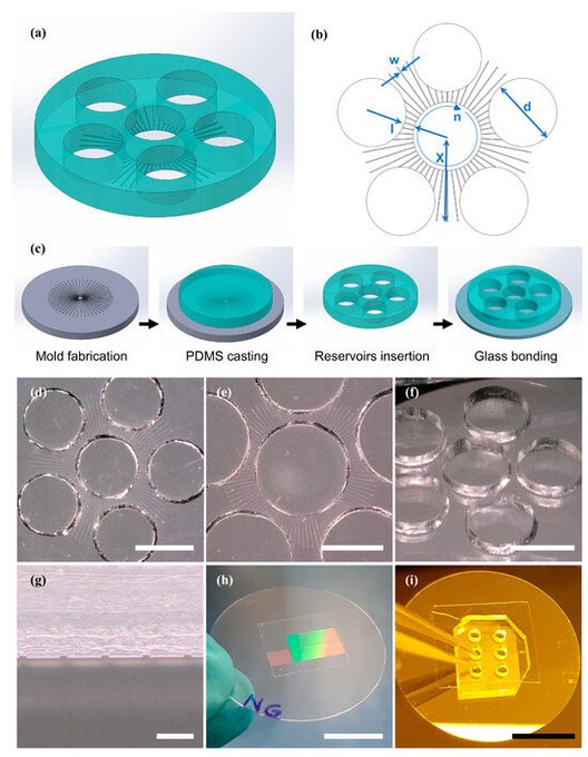 MDPIEngineering's tweet image. 🌟 Featured Article | Editor’s Choice 🌟
#Micromachines #OpenAccess
📄 Nervous System-on-Chip: Innovative Microfluidic Platform to Compartmentalize hiPSC-Derived Neural Networks
by Sabahi et al. 
🔗 Full text: mdpi.com/2072-666X/17/2…

#NervousSystemOnChip #Microfluidics #hiPSC