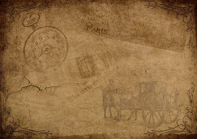 Tara Wilson tweet media