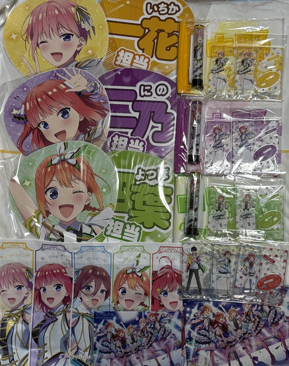 もりくま🌻🧸🍀 tweet media