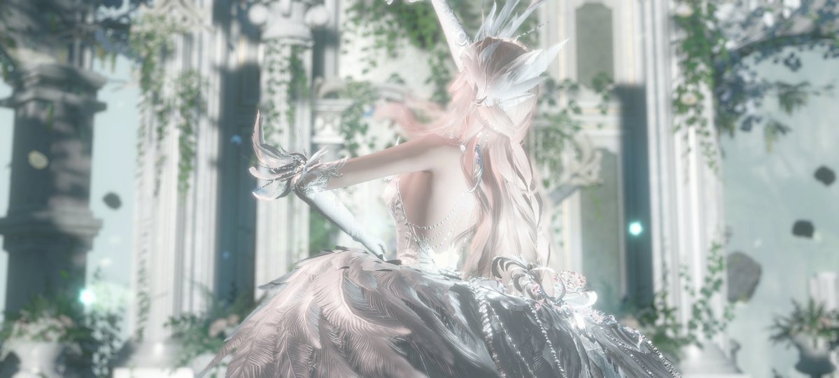 桃子小姐 tweet media