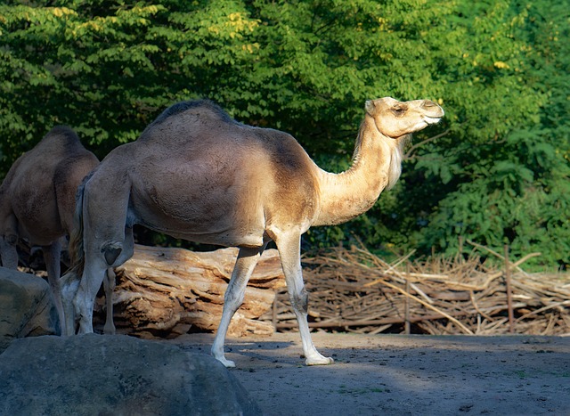 Marvin Gonzalez tweet media