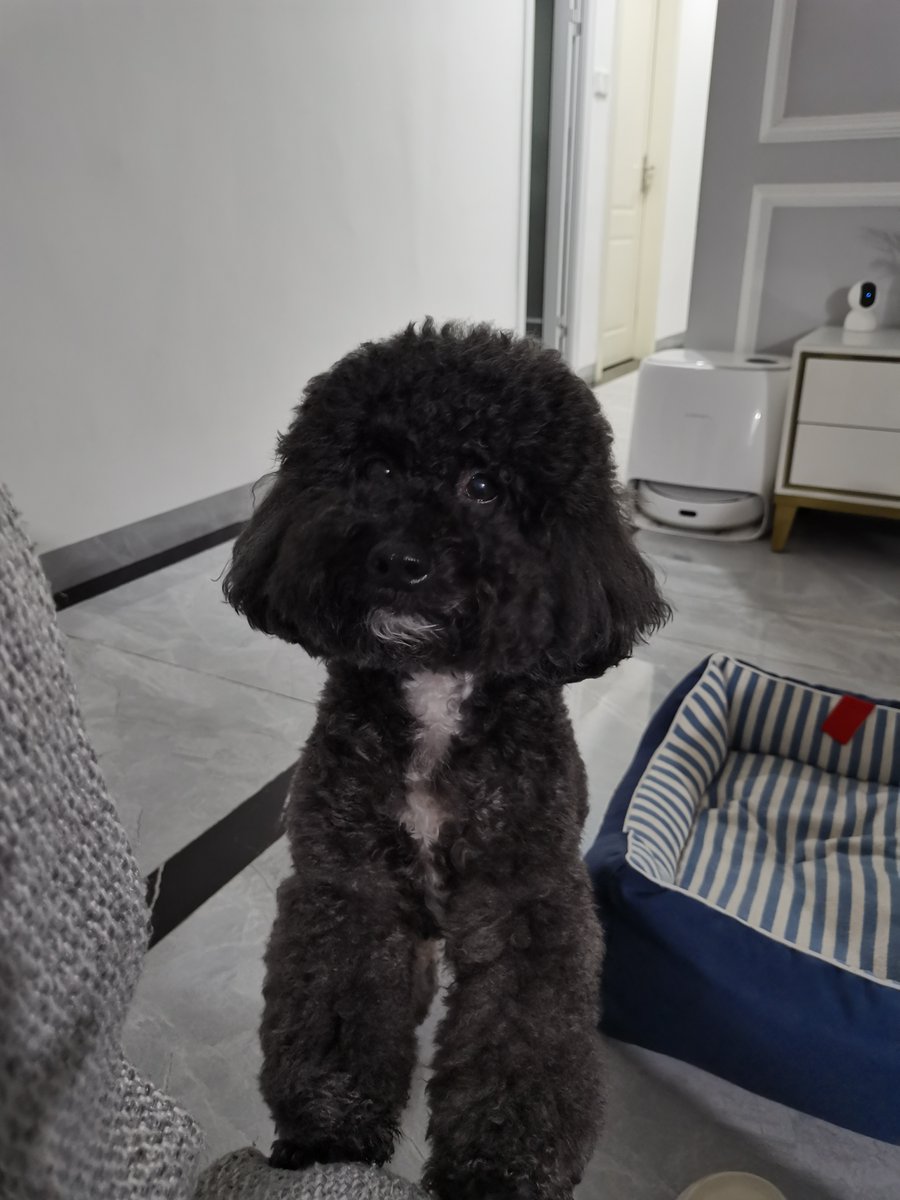 ElWaahranii tweet media