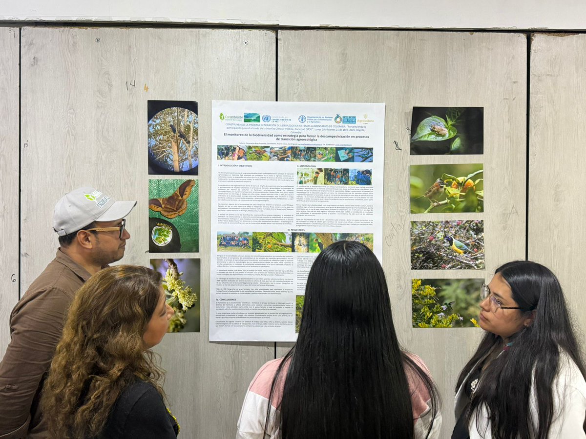 UN Food Systems Coordination Hub tweet media