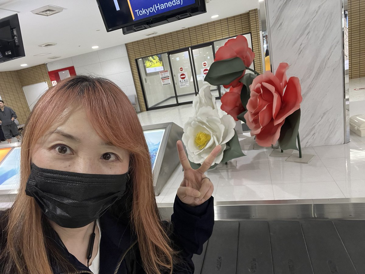よしむらゆか tweet media