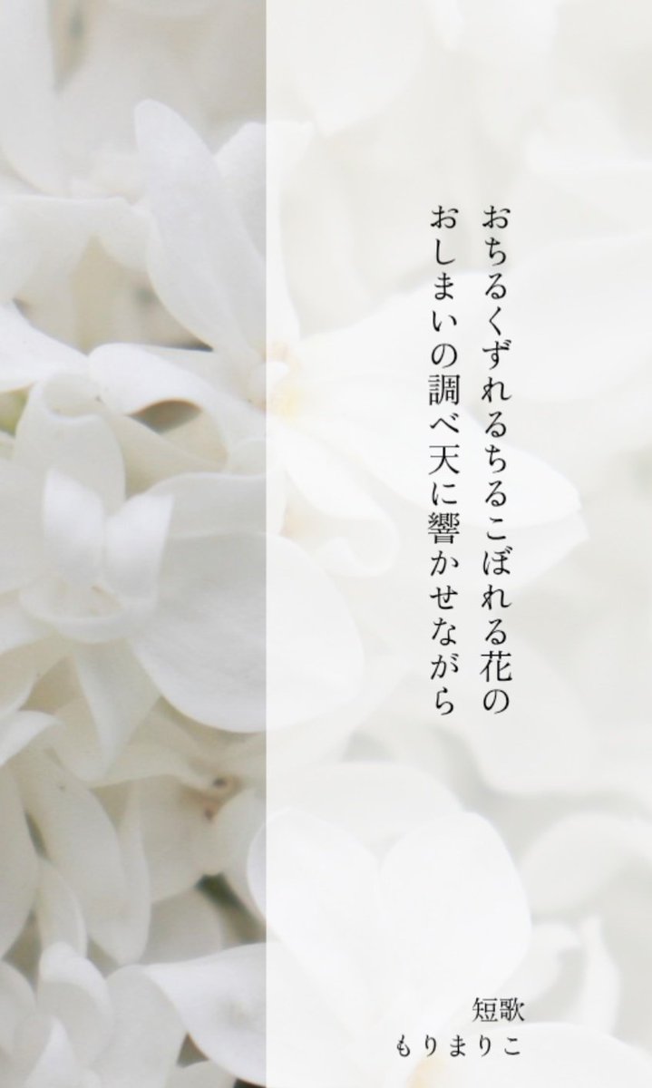 もりまりこ／ゼロの紙 tweet media