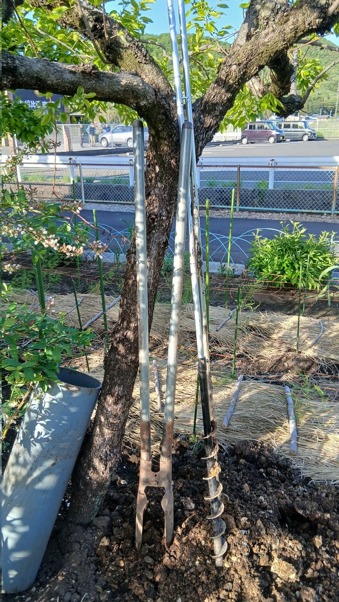 tanemaki_ojisan's tweet image. 鉢植えの水やりで夏場の水道代が
ヤバイことになるので
庭に浅井戸を自力で掘ることにしました
まずはスコップでいけるところまで頑張りました

１３０センチ付近で川の石みたいな層にぶち当たりました

はたして自力で水は出るのかワクワクします

#井戸掘り
#浅井戸
#diy
#男のロマン
