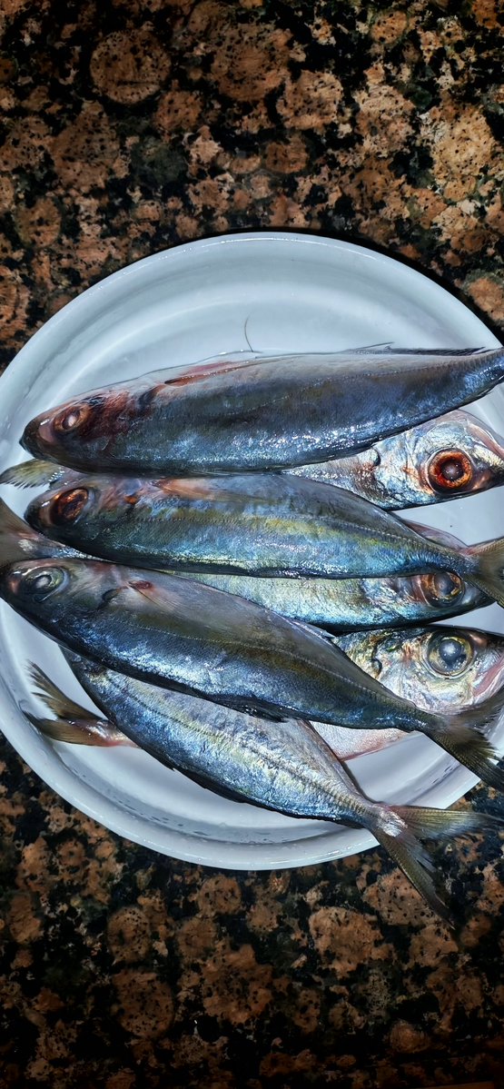 Amy | Creative Director tweet media