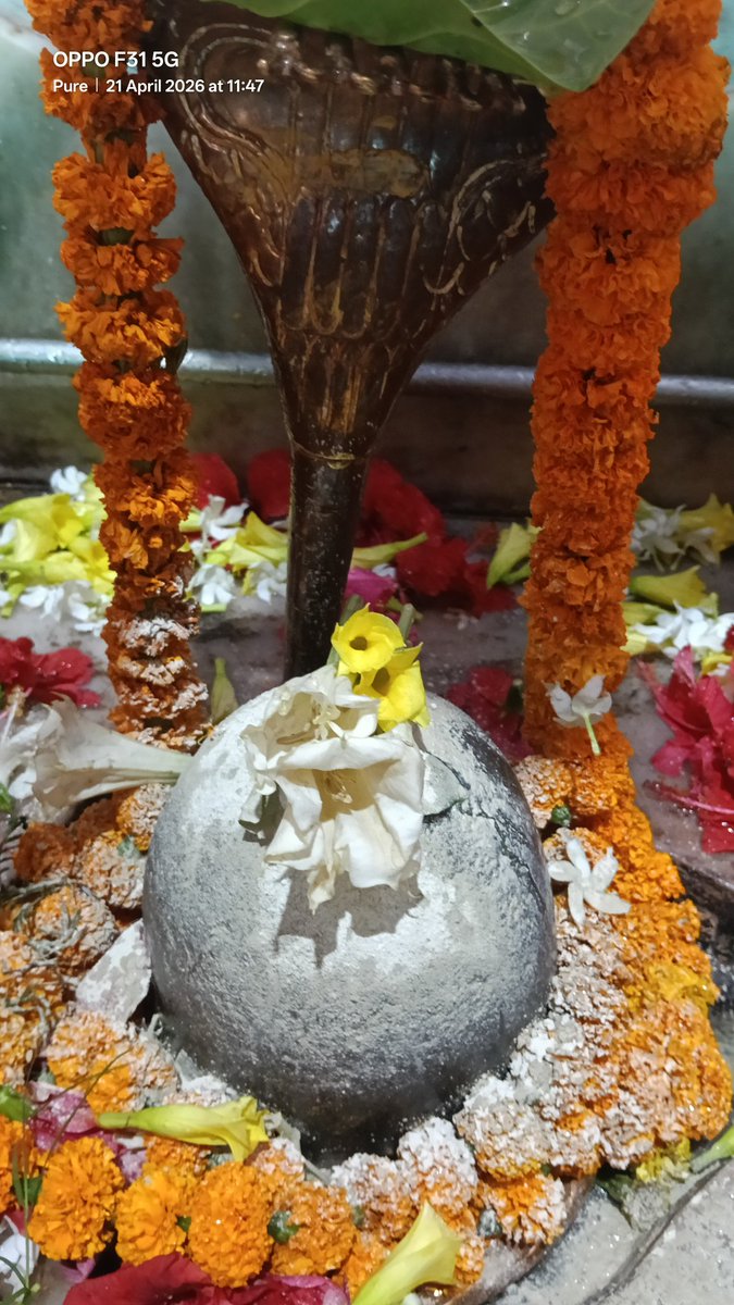 Balaji Pathak tweet media