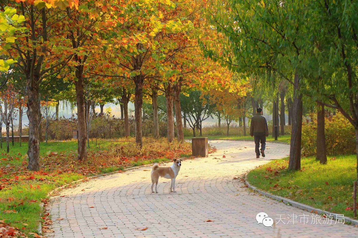 Chad Overstreet tweet media