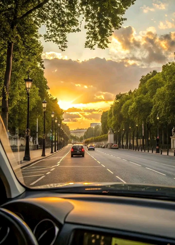 Nature Focus tweet media