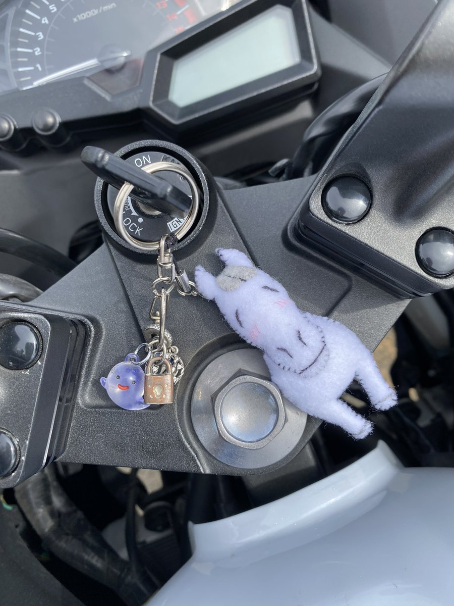 MOGU楽のみっぴー tweet media