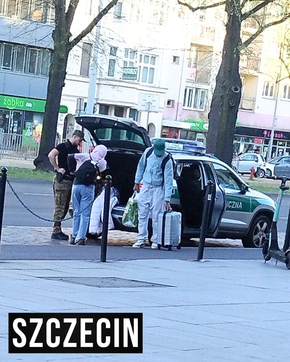 Bruno Topola tweet media