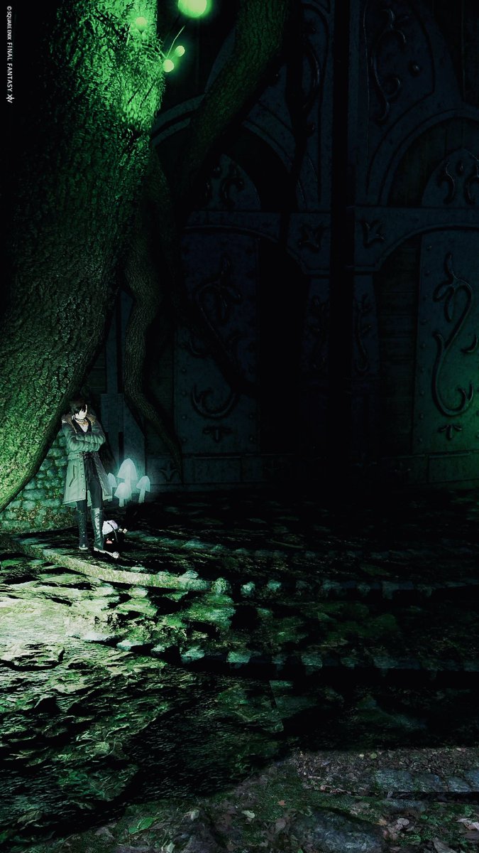 🌱しお tweet media