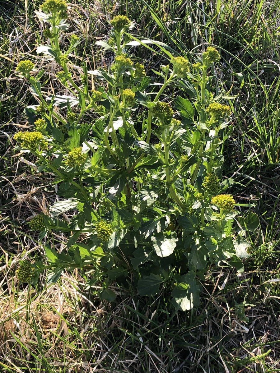また布団を敷こう菜みつけた