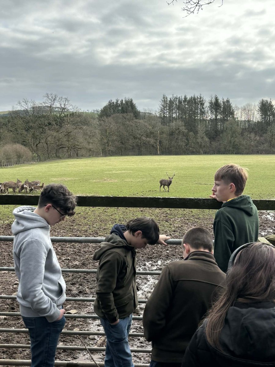 Wallace Hall Academy, Primary and ELC tweet media