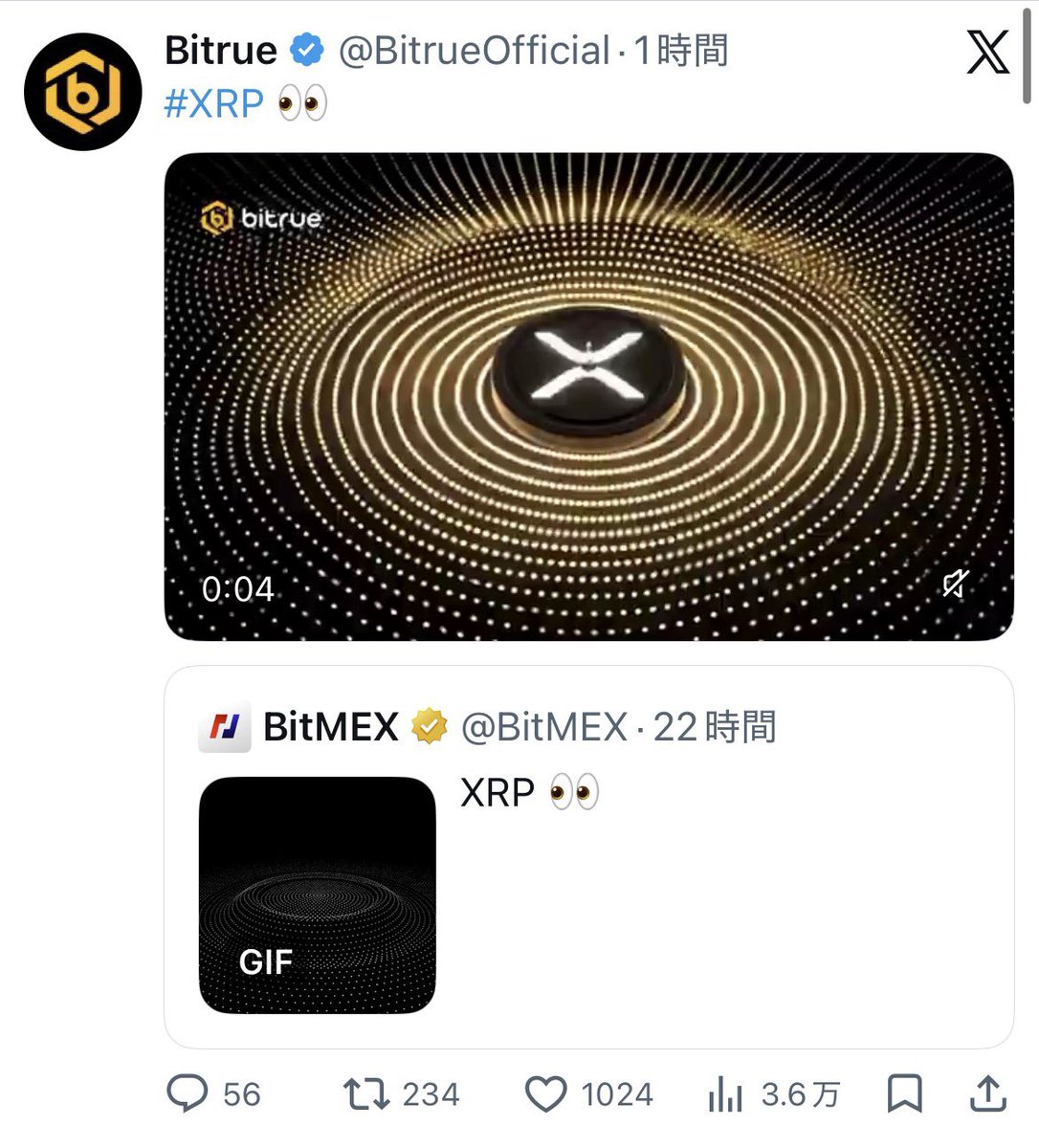 XRPの下僕 tweet media