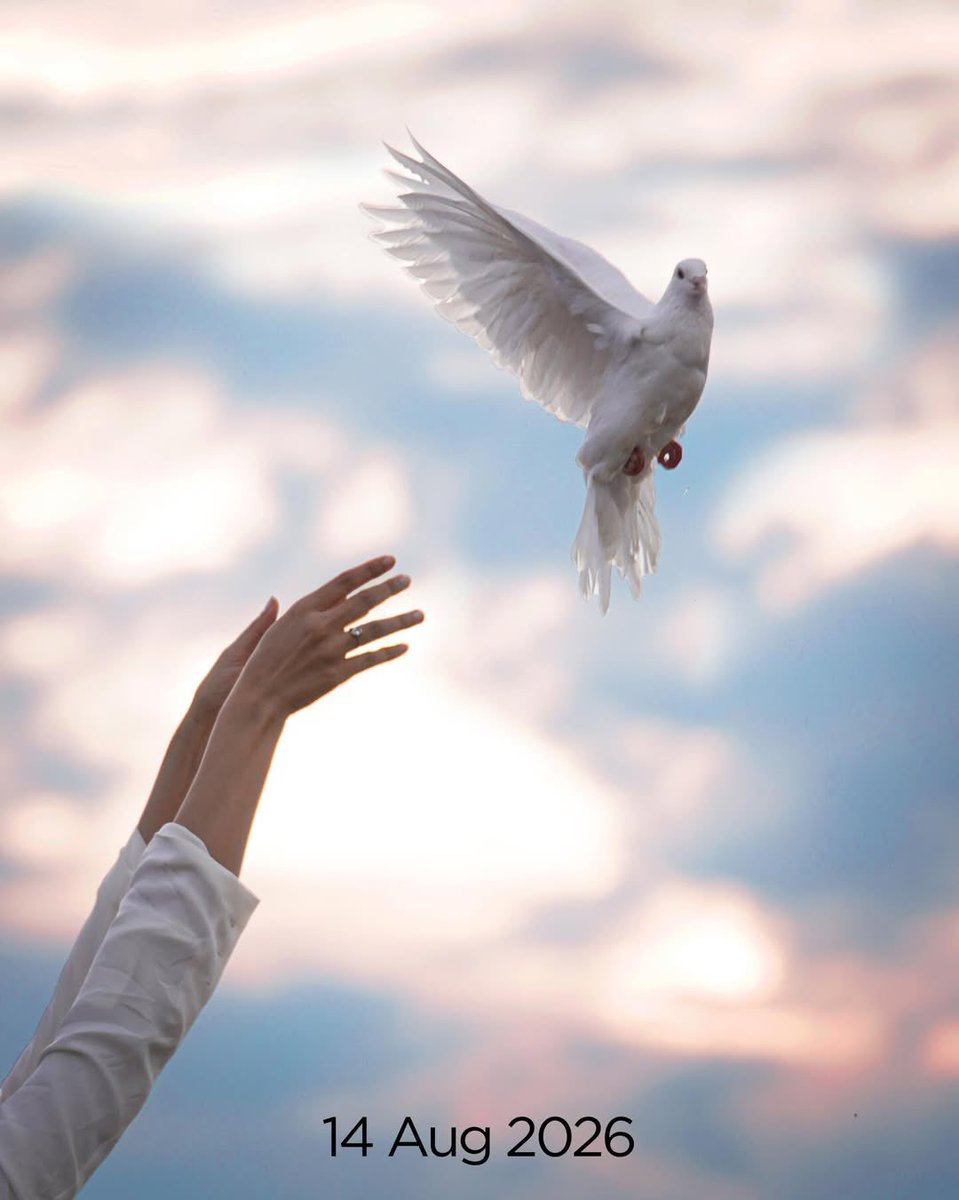 IIFA's tweet image. A legacy returns to the big screen! Vishesh Films announces Awarapan 2, starring Emraan Hashmi and Disha Patani, set to release worldwide on 14th August 2026. Are you excited? 🔥

#IIFA #Bollywood #Awarapan2 #EmraanHashmi #DishaPatani