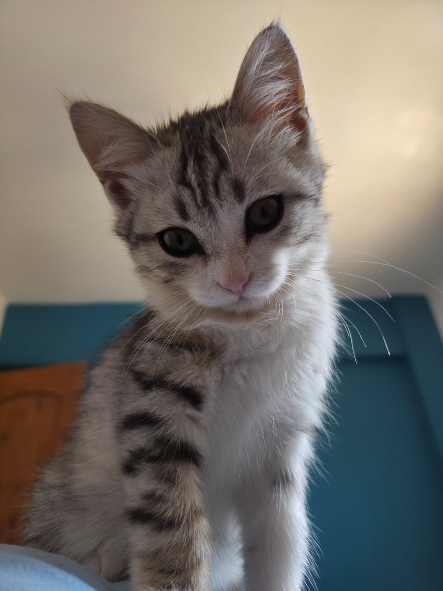 أبو نجيب tweet media