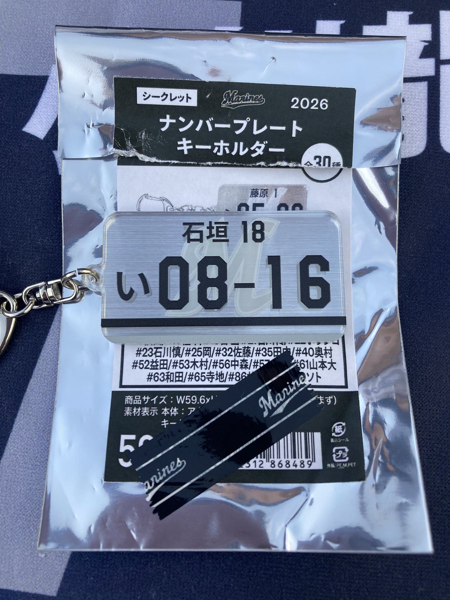かもめのくにのありす4/16,21,23,29マリン@2026 現地2勝3敗 tweet media