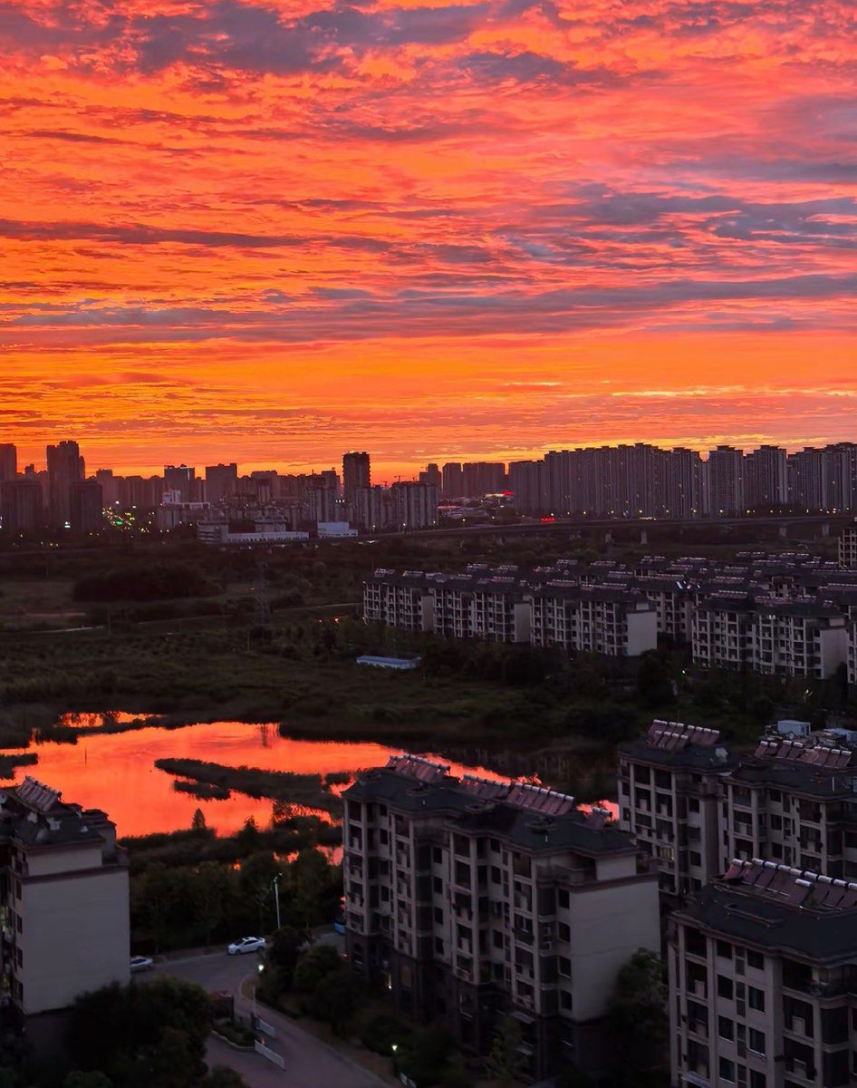 Sebastien tweet media