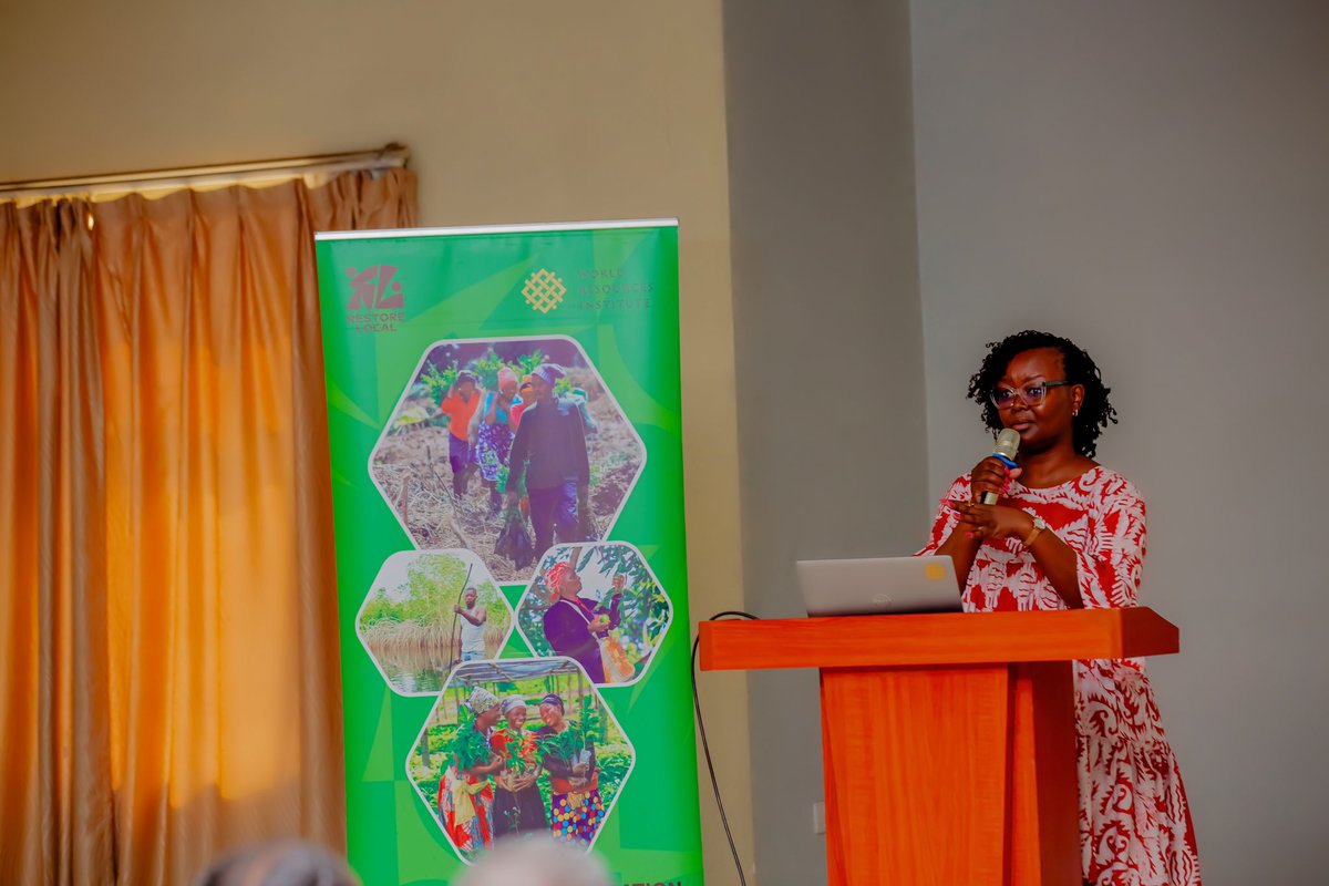 RBI_rw's tweet photo. Big week🍀☘️🌿: TerraFund cohort 3 Kick off☘️ RBI is excited to join TerraFund’s Cohort 3 launch, Apr 21–May 5, 2026 🌱
We’re partnering with #RCCDN & #GLR to restore 400ha in Rutsiro District/Rwanda #RestoreLocal #ClimateAction #LandRestoration.
RBI is in! Teaming up with RCCDN & GLR to restore 400ha in Rutsiro District, Rwanda. Let’s grow 🌳 @WorldResources @onetreeplanted @restoreforward