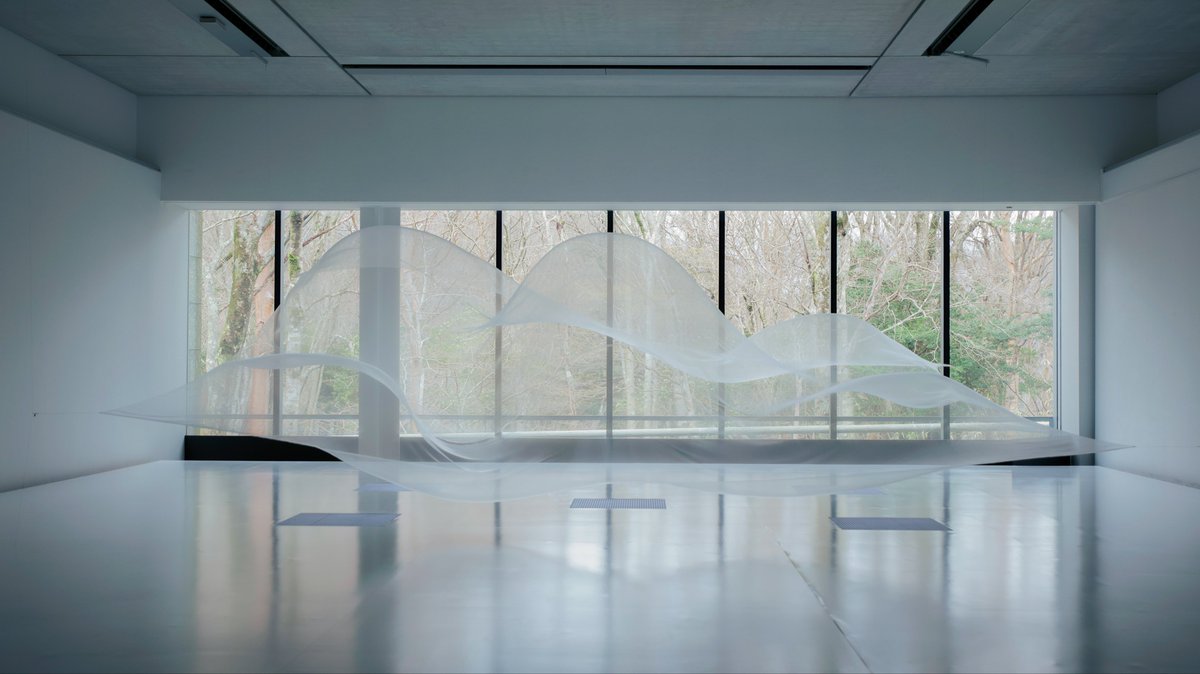 tomei/透明愛好家 tweet media