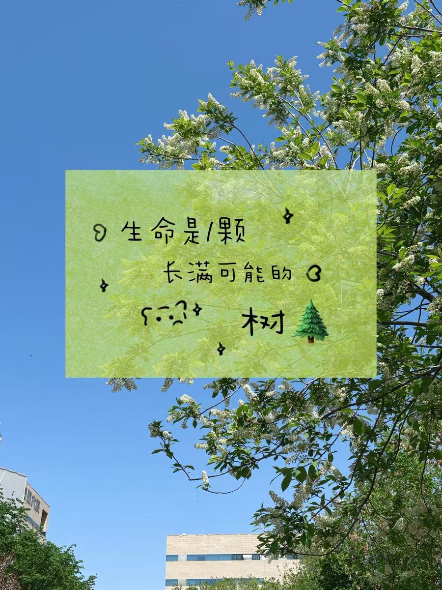 Mayday_Tangyr's tweet photo. 生命是一万次春和景明 https://t.co/ZHZdjXjcEZ