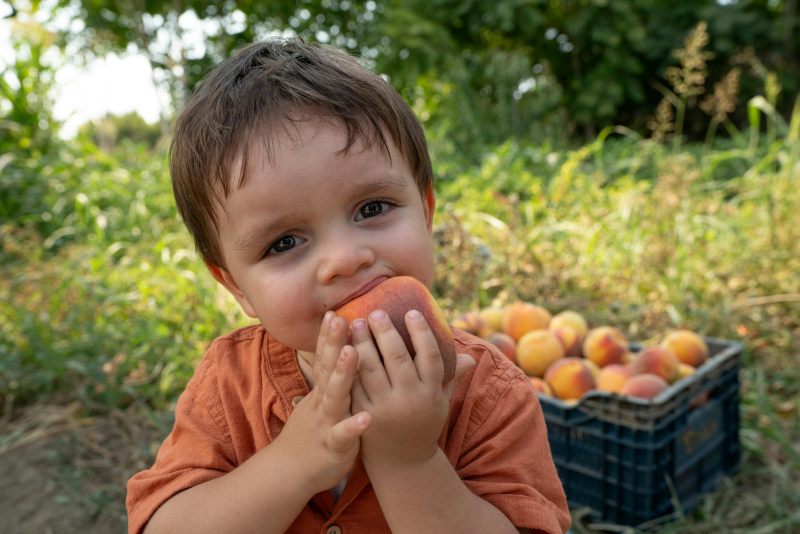 concienciaeco's tweet image. Nutrición infantil sin procesados, por qué y cómo volver a lo natural
Imagen: FURKAN GÜNEŞ
goo.su/LtnV8R
#medioambiente #nutrición #nutricióninfantil #alimentosprocesados #alimentación #alimentacióninfantil #consumo #comida #educación #enseñanza #obesidad #azúcar