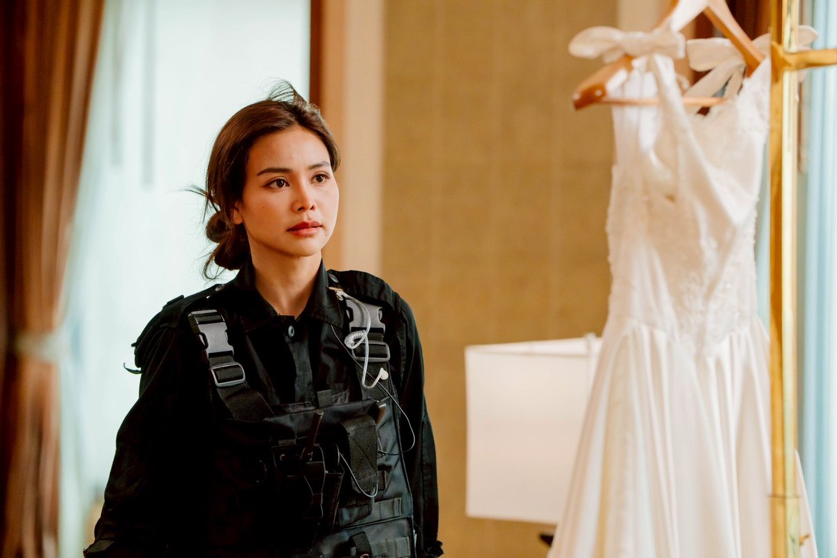 Y & GL Series tweet media