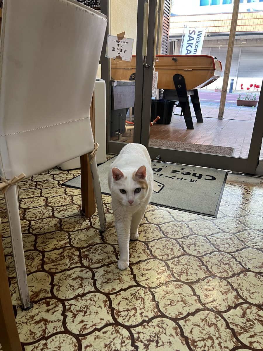 Chez Pierre（シェ・ピエール）＠酒田市二番町のボドゲカフェ＆バー tweet media