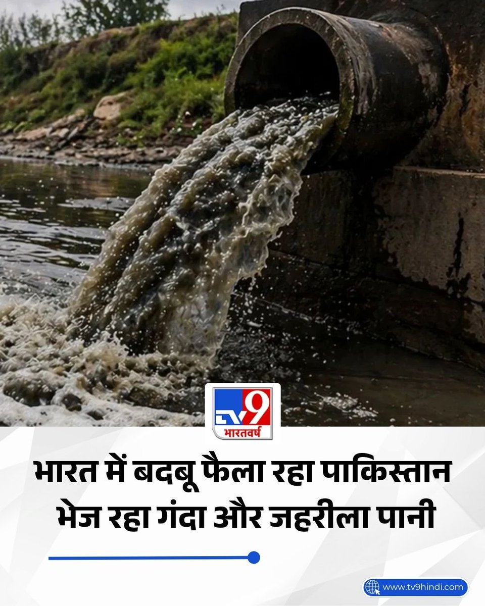 iMac_too tweet media