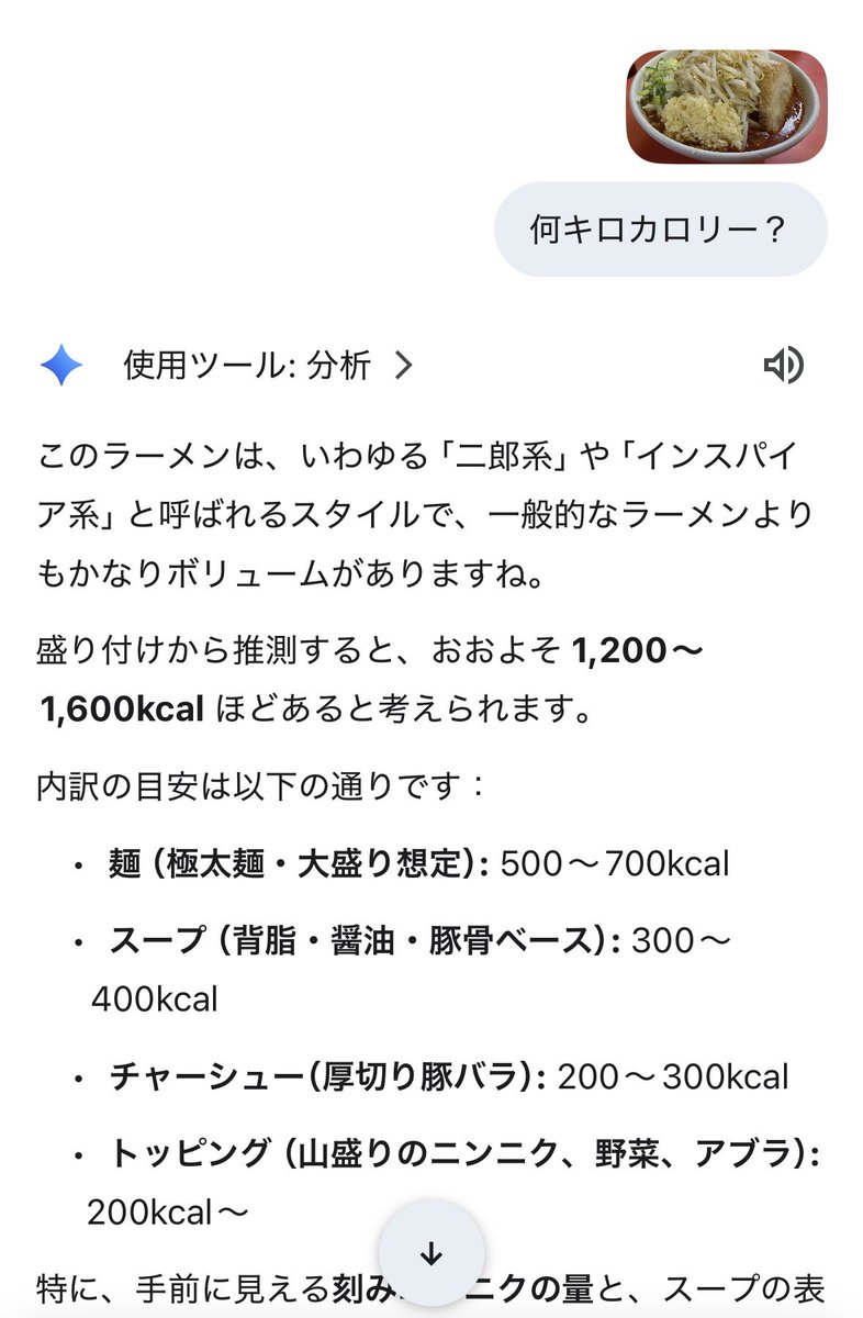 野菜たくさん映ってるから騙せるかと思ったけどダメだった。美味しかった。