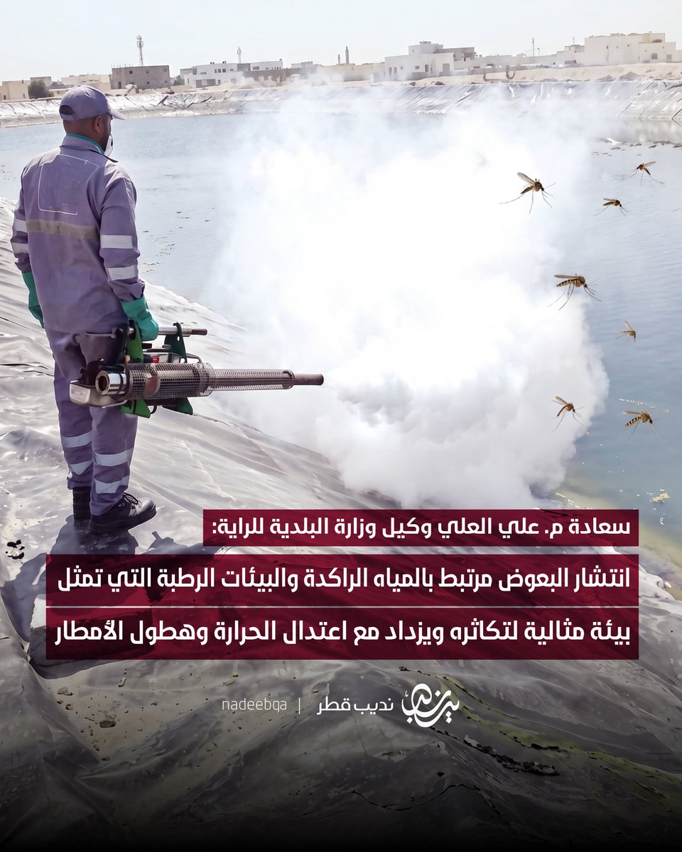 نديب قطر tweet media