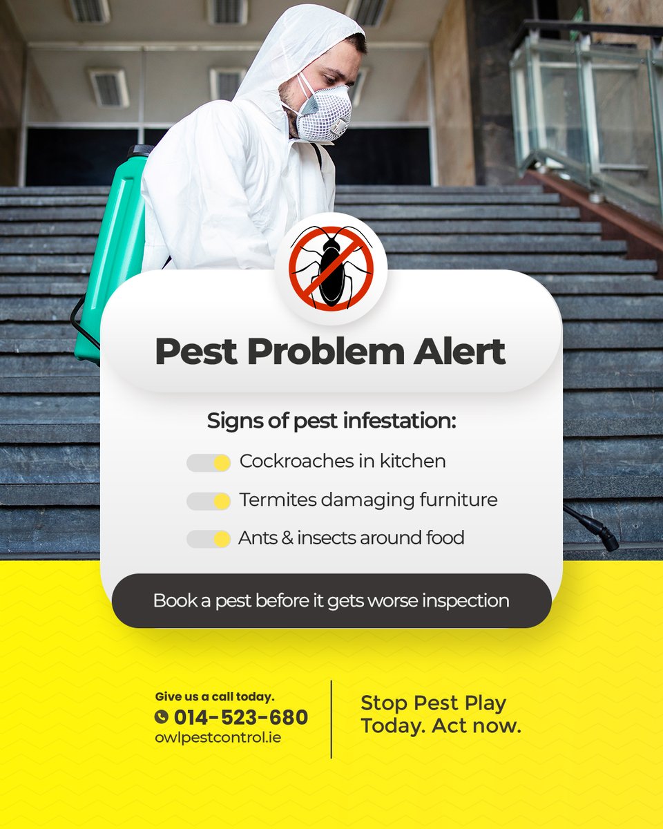 Owl Pest Control Dublin tweet media
