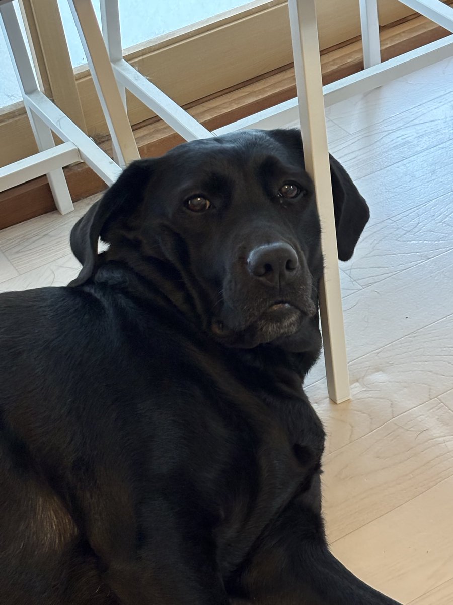 あの…ご飯まだですか？