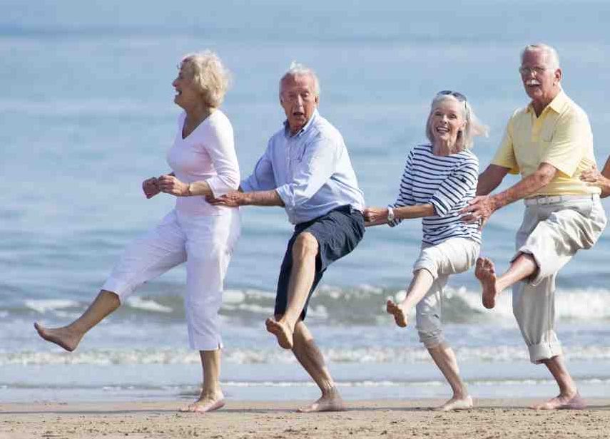 French Report tweet media