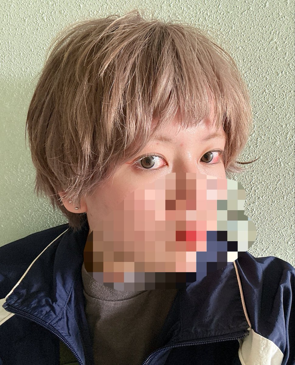 ミョウガ tweet media
