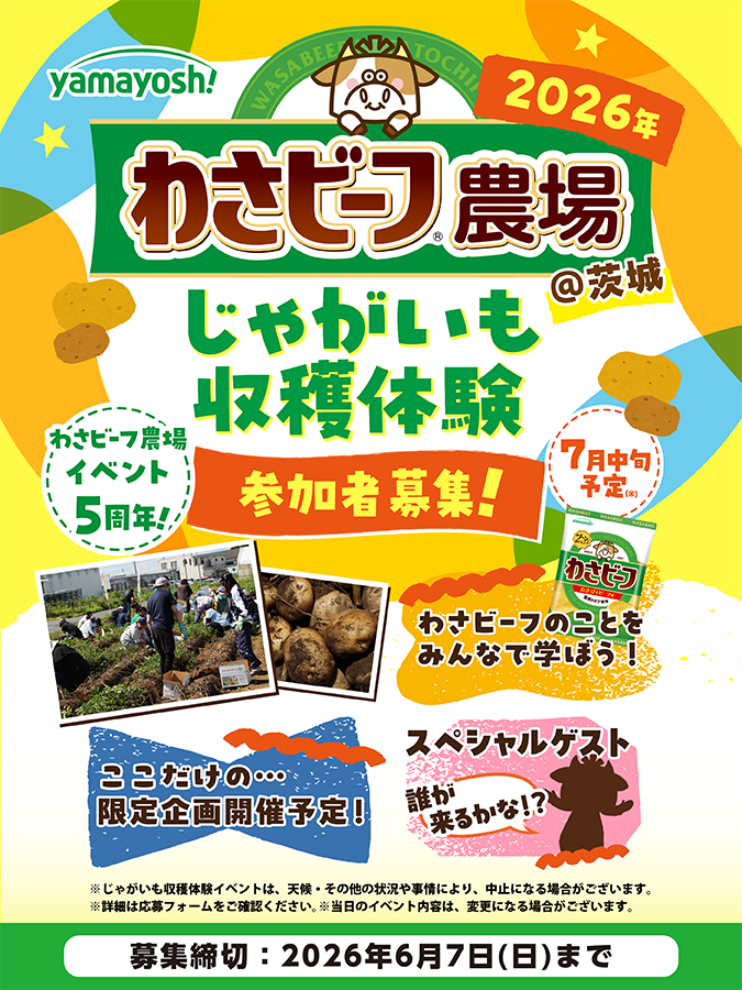 🐮じゃがいも🥔掘ってみませんか？🐮／ わさビーフ農場じゃがいも収穫