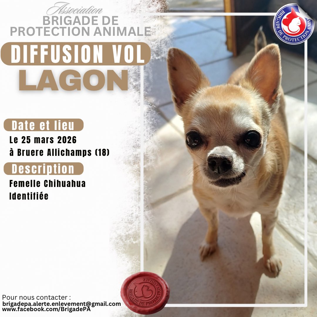 Brigade de Protection Animale – BPA tweet media