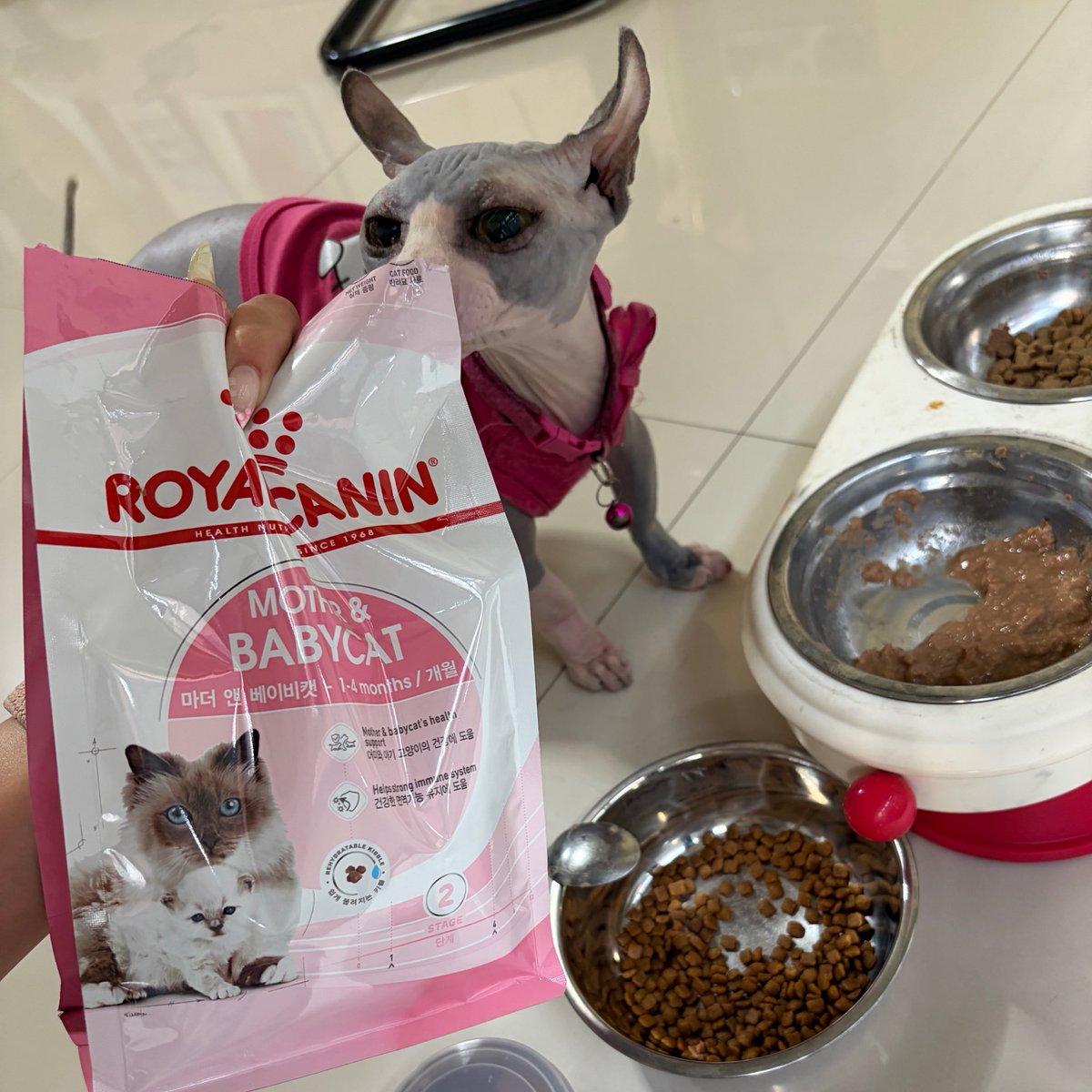 numnimjung🔋 tweet media