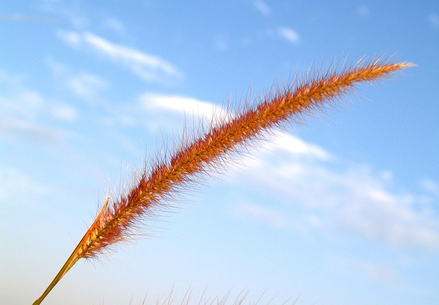 Devin Dickinson tweet media