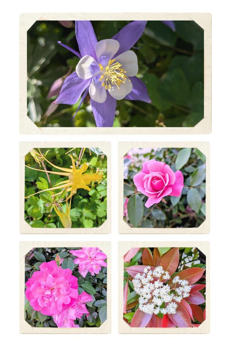 ふかさわ葵＠奈良LOVE都民 tweet media