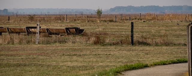 Margarita Walton tweet media