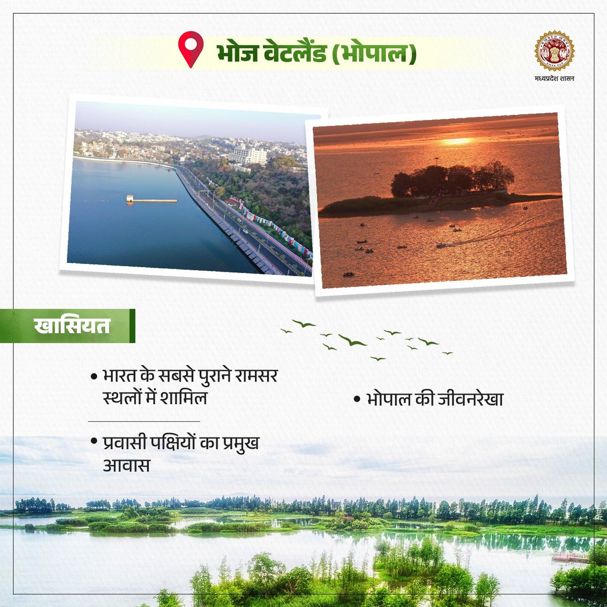 environment_mp's tweet photo. भोज वेटलैंड (भोपाल )

👉 भारत के सबसे पुराने रामसर स्थलों में से एक, एवं भोपाल की जीवनरेखा 

#RamsarSites #Wetlands #Biodiversity #WetlandConservation https://t.co/XJDqrrYv8t
