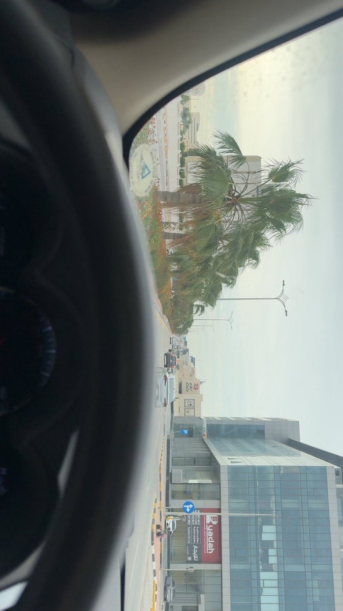 🐈‍⬛ tweet media