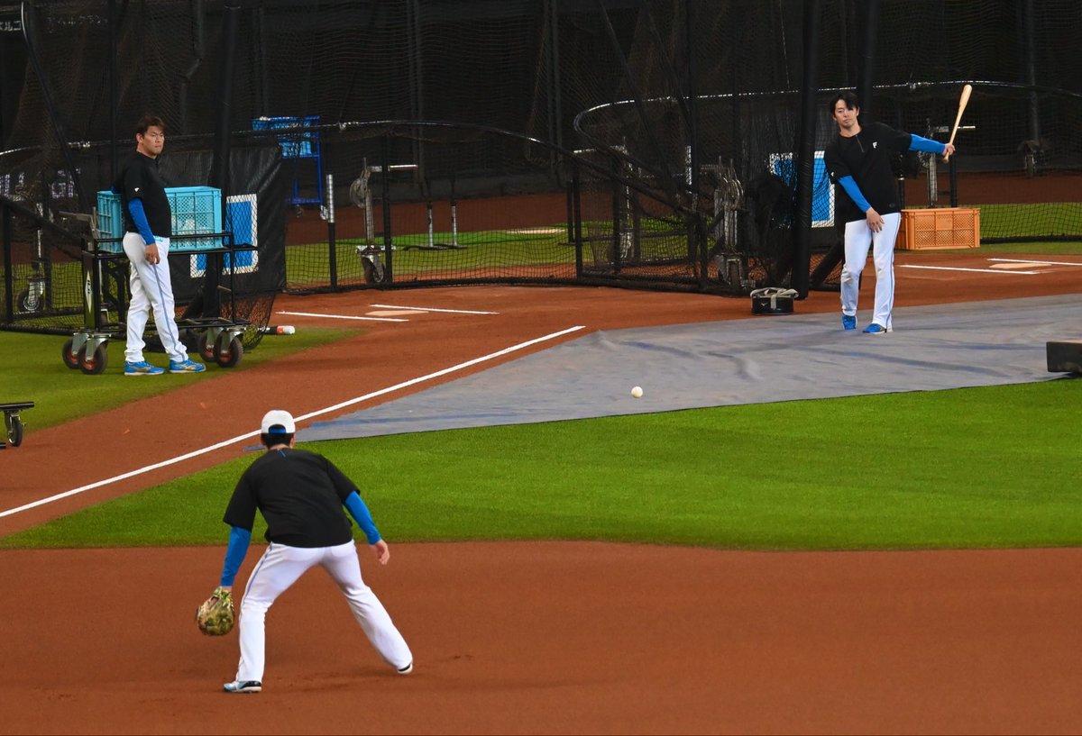 腹筋ハムファイターズ tweet media