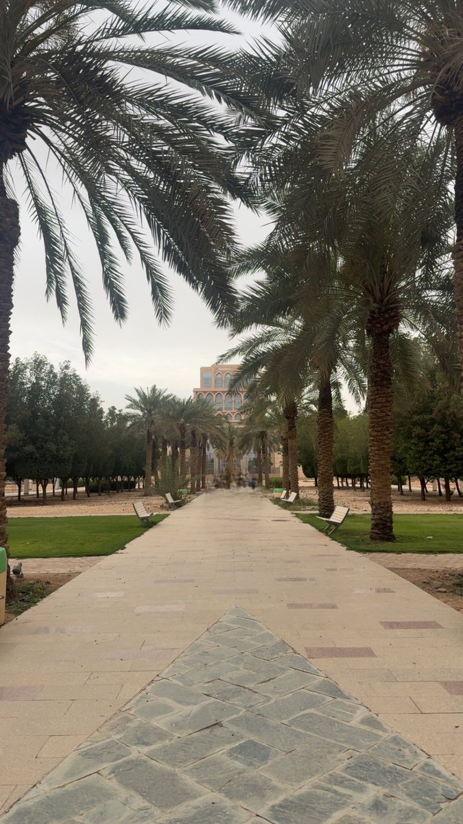 ABDULLAH tweet media